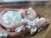 壇蜜『新しい(私の)お友達を。』