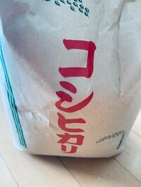 丸岡いずみ『新米に舌鼓』