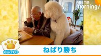【映像】“破壊力抜群な仕草”でおすそ分けをもらう犬