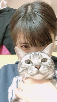 浜辺美波が愛猫を抱っこする姿が「可愛すぎる」“いいね”15万件以上の絶賛
