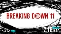 Breaking Down11（ブレイキングダウン11）結果・速報・対戦カード・大会情報