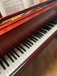 高橋真麻『憂鬱な土曜日』