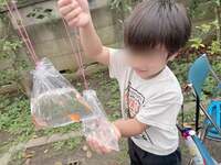 辻希美『お祭り』