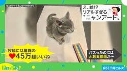 え、本物!? “ニャンアート”に見せかけた猫に「どう見ても絵」と驚きの声