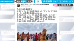 浜辺に大量のティラノサウルス 商標登録したという“謎のイベント”に「なっ、なんですか」「シュールな所がまたいい」と“80万回再生”