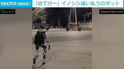 「出ていけー！」イノシシの群れを猛追→華麗な走りで追い払う“人気者ロボット”ミッション成功の瞬間 ポーランド
