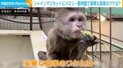 シャインマスカットにメロン…貧乏動物園でも食事が豪華なワケは？ 地元の取り組みに称賛の声「作った側も見てる側も幸せになる」