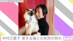 「命は突然…消えてしまいました」パリ在住の中村江里子、“愛する家族”との別れを報告