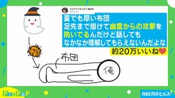 夏でも厚い布団を掛ける理由 “図解イラスト”に反響「同じ人間いた！」