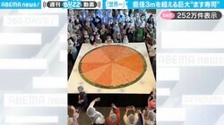 「なんじゃこりゃ！」直径3メートル超えの巨大“ます寿司”に「土俵かと思った」「数ピースに分けて作るのか、おもしろい」と反響