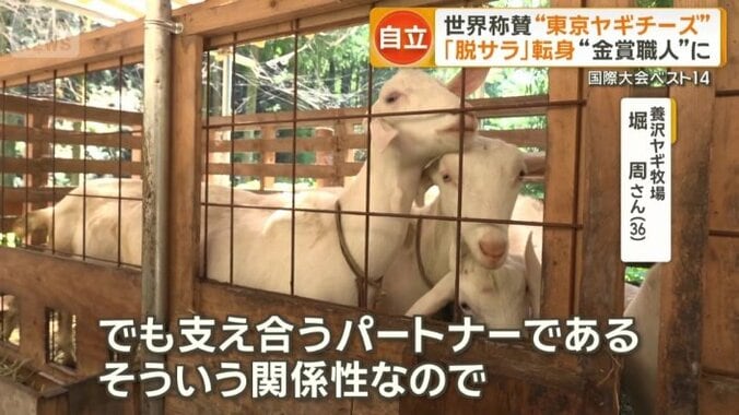 ヤギは支え合うパートナー