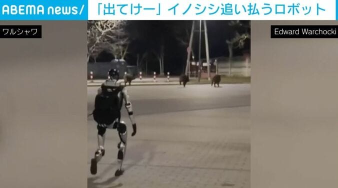 イノシシを追うロボット