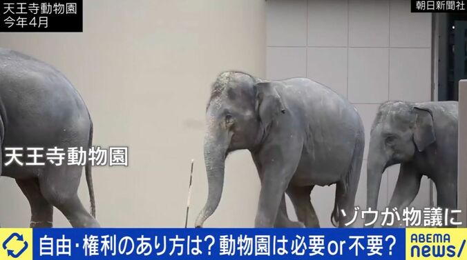 動物園は必要or不要？