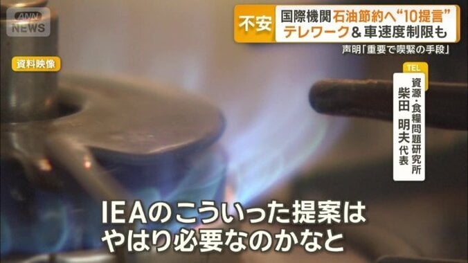 「IEAの提案は必要」