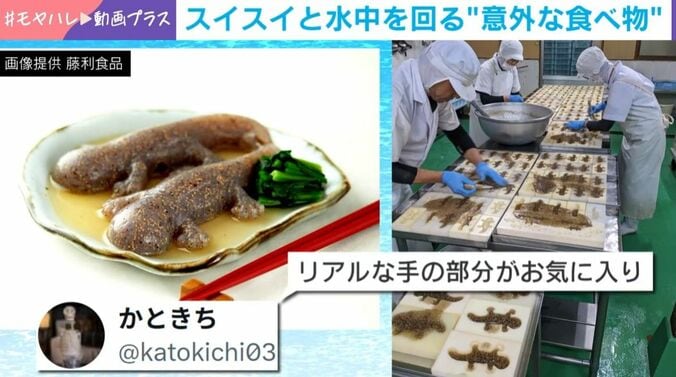 オオサンショウウオの形をしたこんにゃく