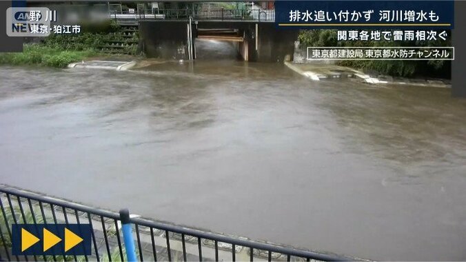 野川