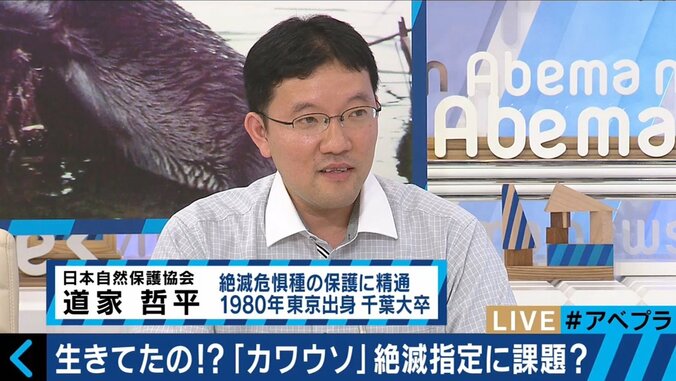 “一匹100万円”カワウソ人気を背景に密輸を試みる日本人も 3枚目