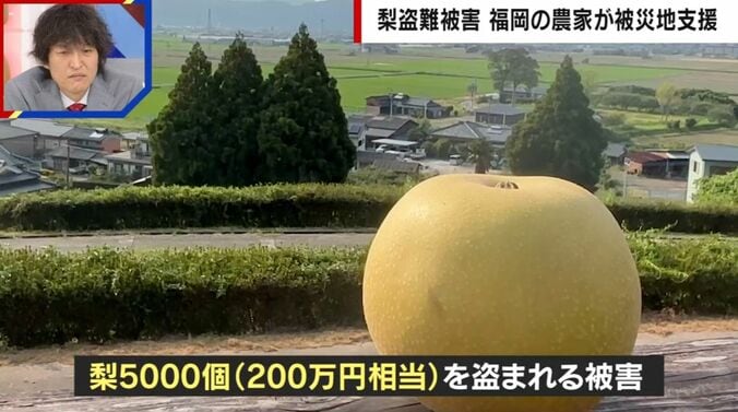 梨窃盗被害