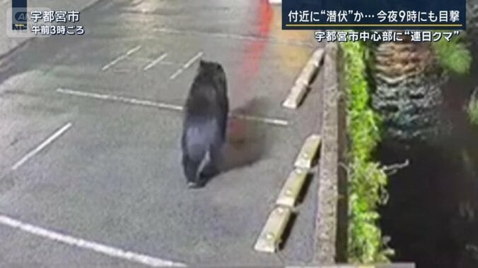 宇都宮市中央卸売市場の近く