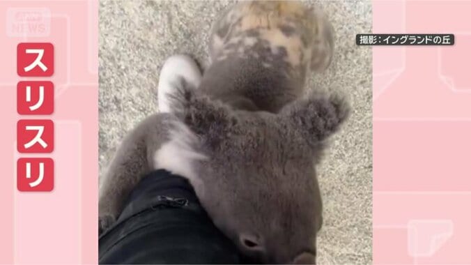きょうも離さない！！