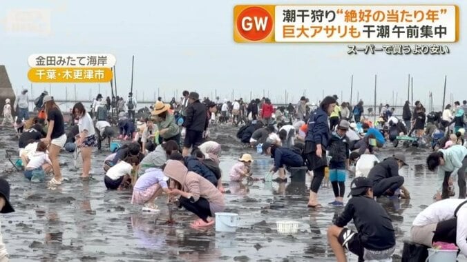 千葉・木更津市の金田みたて海岸