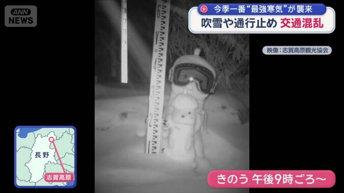 志賀高原のゆるキャラ「おこみん」