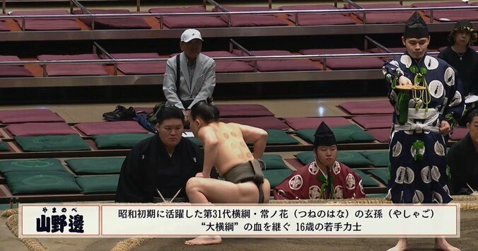「もの凄い痕跡」「背中が草間彌生」16歳の序二段“イケメン”力士、“背中”の紋様にファン驚き 2枚目
