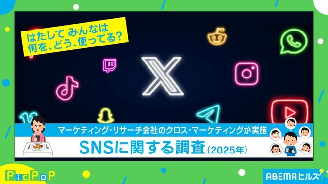 「SNSに関する調査」