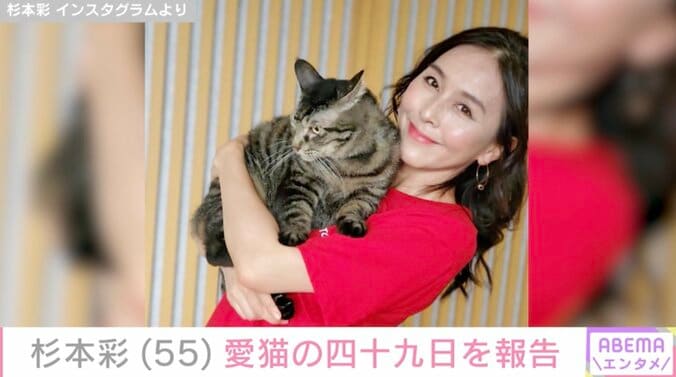 【写真・画像】杉本彩（55）“愛する家族”の四十九日を報告、1カ月半で２匹の猫とお別れ「幸せだった日々の思い出は私の宝ものです」　1枚目