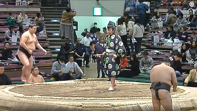 花道の奥に現れた朝乃若