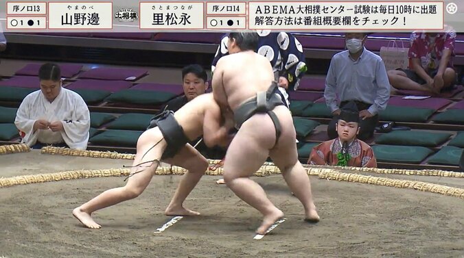 序ノ口十三枚目・山野邊（出羽海）