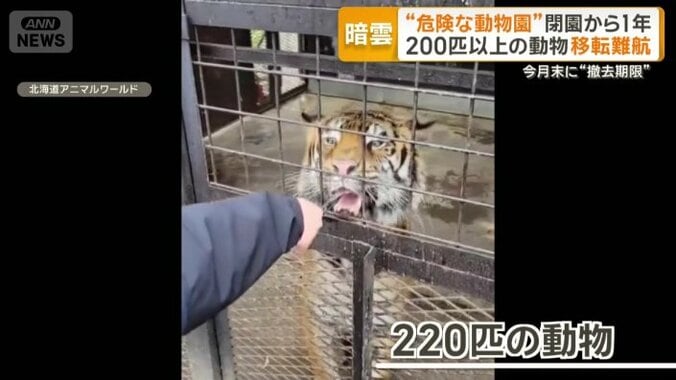 220匹の動物が残る