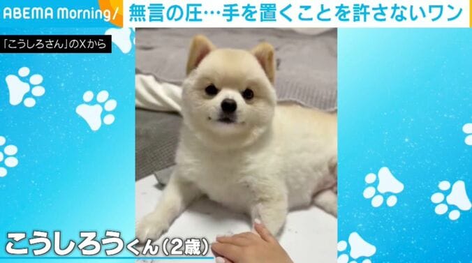 2歳のこうしろうくん