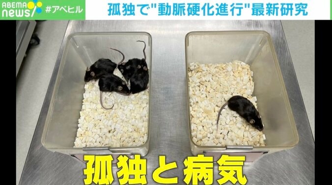 【写真・画像】「孤独」だと「病気」になる？ マウス研究で明らかになった“孤独”と“オキシトシン”と“肝臓”の関係　1枚目