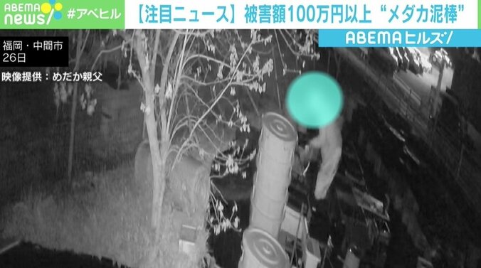 「盗難というよりも誘拐された感覚」 福岡でメダカ泥棒、被害額は100万円以上 1枚目