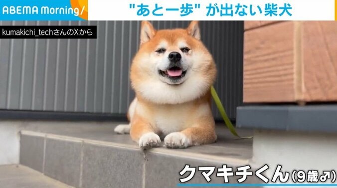 クマキチくん