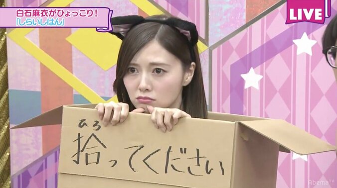 白石麻衣のひょっこりはん生共演、衛藤美彩がメイク術特別公開にかわいすぎるの声 1枚目