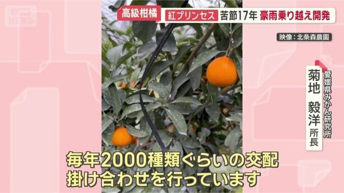 「確率は1万5000分の1」
