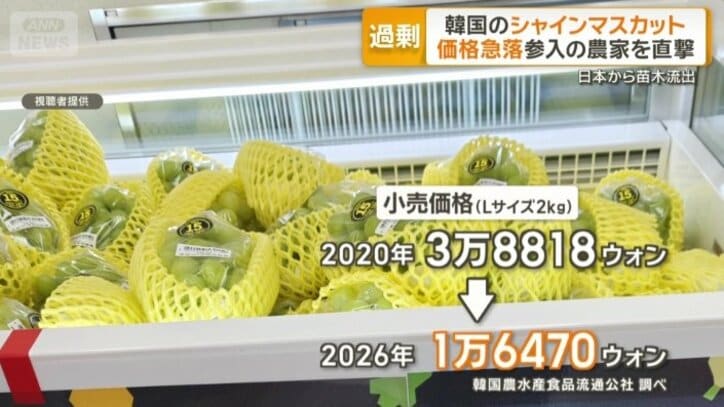 小売価格は半分以下に