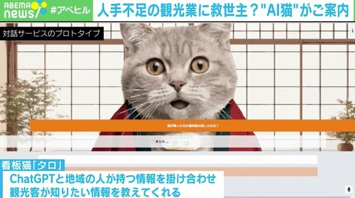 人手不足の観光地で「AI猫」がおもてなし 地元ならではの魅力伝える