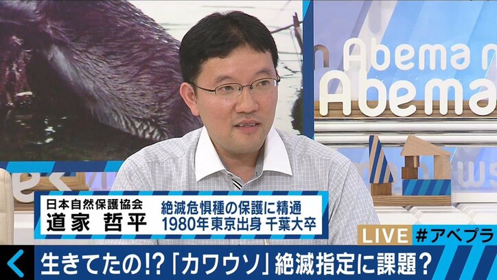 “一匹100万円”カワウソ人気を背景に密輸を試みる日本人も