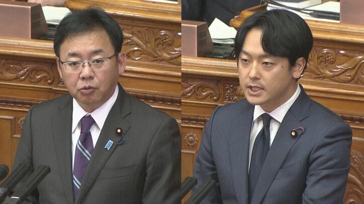 上野賢一郎厚労大臣、新実彰平議員