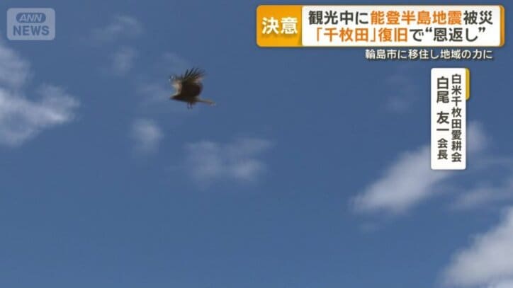 トンビにパンを取られる