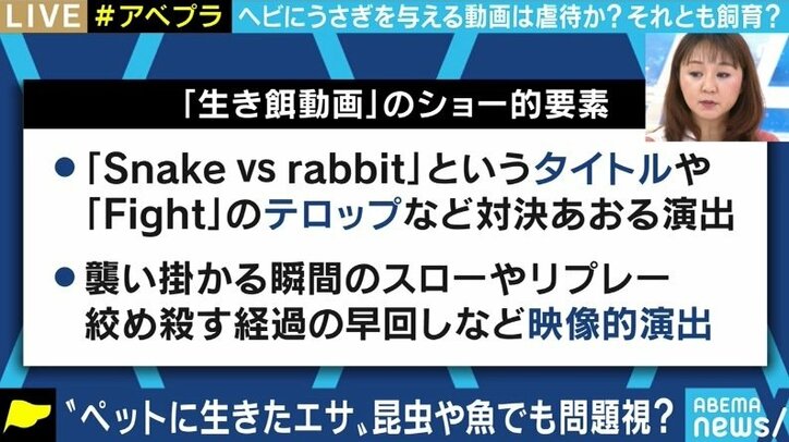 “生きたエサ食べさせる動画” 一体どこまで制限すべき? YouTuberを刑事告発した動物愛護団体代表と議論