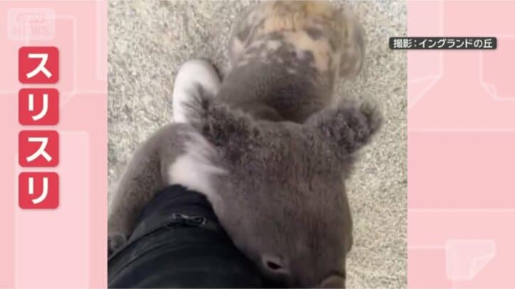 きょうも離さない！！