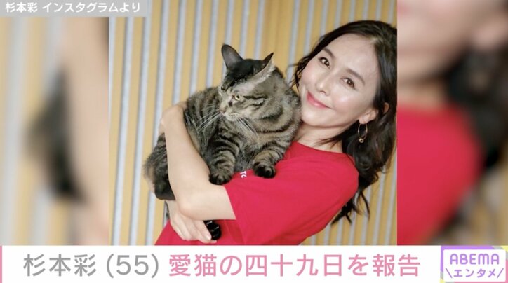 【写真・画像】杉本彩（55）“愛する家族”の四十九日を報告、1カ月半で２匹の猫とお別れ「幸せだった日々の思い出は私の宝ものです」　1枚目