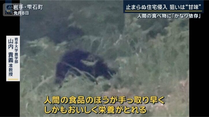 岩手大学農学部 山内貴義准教授