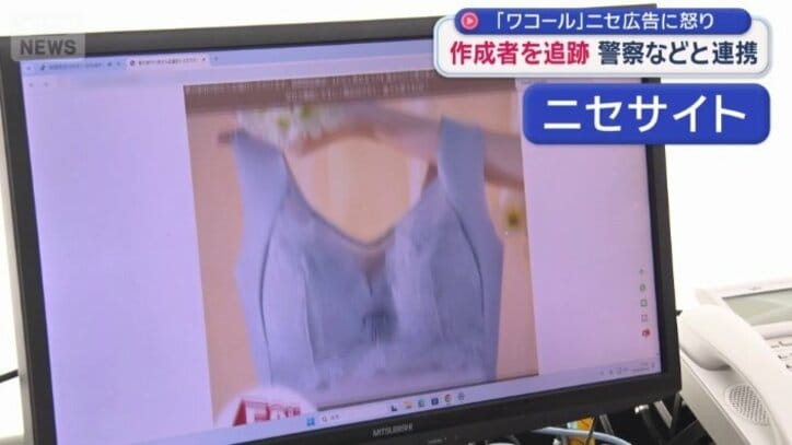 ニセサイト