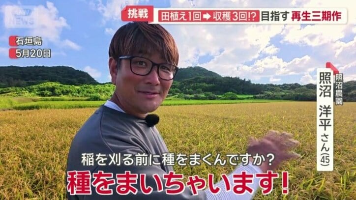 収穫前に種をまくという