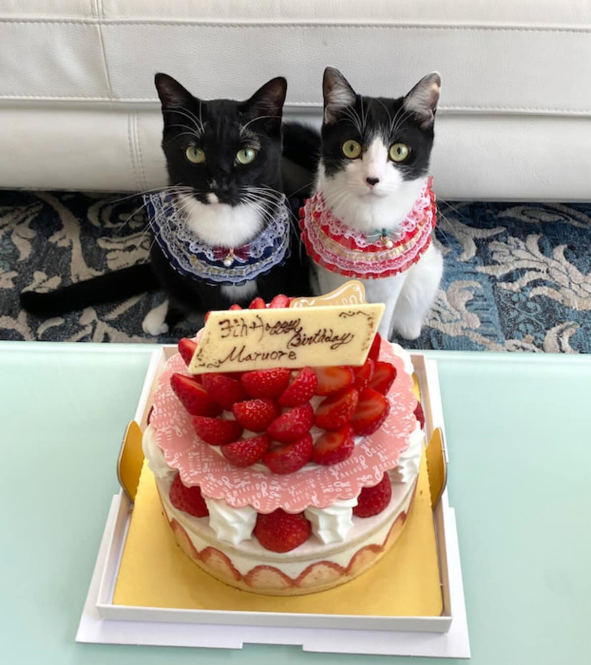 原画☆キャンバスF10【猫たちの豊かなシャンパンケーキパーティー】 img_f288cc7e225b02b37af0e81af7